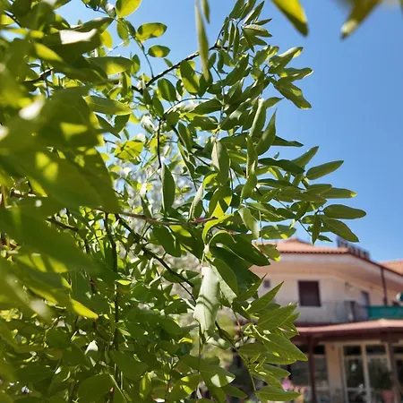 Parco Del Marchese سان جيوفاني روتوندو